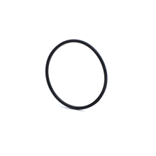 Load image into Gallery viewer, Clemco 00769 EDM O-Ring