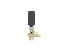 Load image into Gallery viewer, MTM Hydro BRV31 Unloader NPT 3,200 PSI - 18.0401