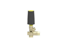 Load image into Gallery viewer, MTM Hydro BRV31 Unloader Easy Start NPT 2,320 PSI - 18.0406