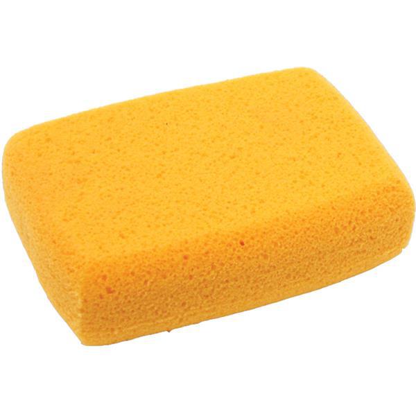 Sponges (50/Pack)