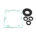 Load image into Gallery viewer, Pump Oil Seal Repair Kit for AR Pumps, Replaces AR Kit 1865