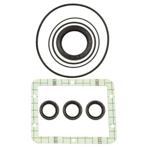 Annovi Reverberi AR1856  Oil Seal Kit