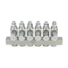 Load image into Gallery viewer, Graco GL-33™ Grease Injector, Carbon Steel, 6 Injector Manifold, 1/8 NPT