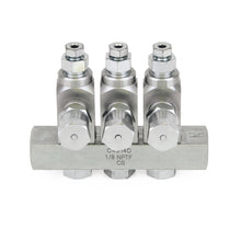 Load image into Gallery viewer, Graco GL-33™ Grease Injector, Stainless Steel, 3 Injector Manifold, 1/8 NPT x 1/8