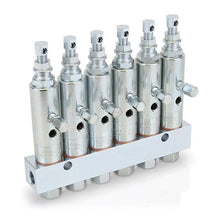 Load image into Gallery viewer, Graco GL-1™ Grease Injectors - 6 Injectors and Manifold