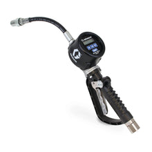 Load image into Gallery viewer, PM™ 20 Electronic Preset Oil Meter - Flexible Extension - 3/4 in. (19 mm) Inlet - NPT