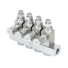 Load image into Gallery viewer, Graco GL-33™ Grease Injector, Stainless Steel, 4 Injector Manifold, 1/8 NPT x 1/8