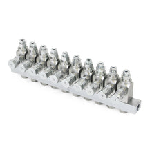 Load image into Gallery viewer, Graco GL-33™ Grease Injector, Stainless Steel, 10 Injector Manifold, 1/8 in. BSPP x 6 mm