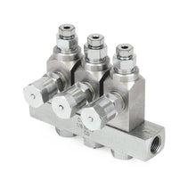 Load image into Gallery viewer, Graco GL-42™ Oil Injector, Carbon Steel, 3 Injector Manifold, 1/8 NPT x 1/8