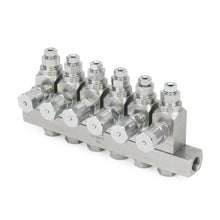Load image into Gallery viewer, Graco GL-42™ Oil Injector, Carbon Steel, 6 Injector Manifold, 1/8 NPT x 1/8