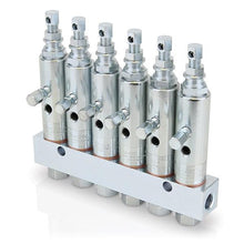 Load image into Gallery viewer, Graco GL-1™ Grease Injectors - 6 Injectors and Manifold
