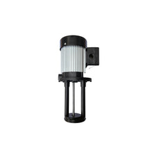 Load image into Gallery viewer, CS275EU-COOLANT PUMP, 1/8 HP, 110V 1Ph, for CS-275EU Saw