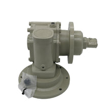 Load image into Gallery viewer, BS250M-178 Gearbox &amp; Reducer (for AC Saws), for BS-250M