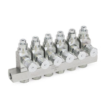 Load image into Gallery viewer, Graco GL-33™ Grease Injector, Stainless Steel, 6 Injector Manifold, 1/8 BSPP x 6 mm