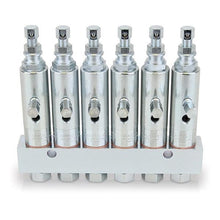 Load image into Gallery viewer, Graco GL-1™ Grease Injectors - 6 Injectors and Manifold