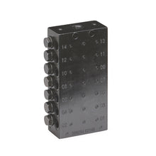 Load image into Gallery viewer, Graco CSP Divider Valve, 1/8 in. BSPP, 14 Outlets