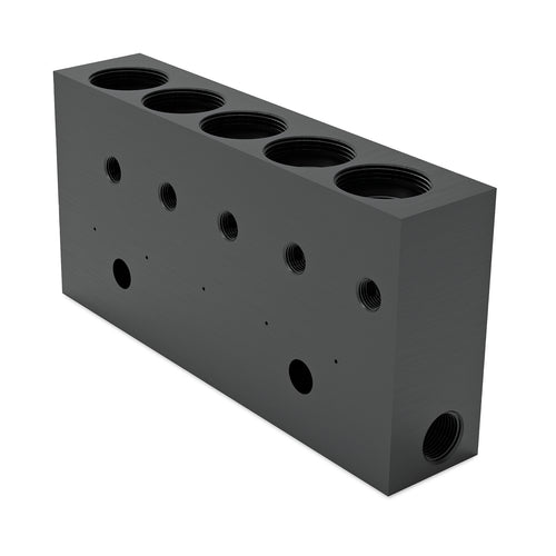 Graco GCI™ Series 5-Point Standard-Pressure Grease Injector Manifold