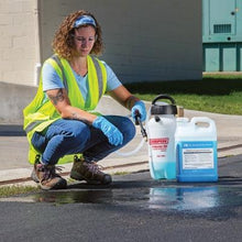 Load image into Gallery viewer, Chapin® Handheld Pro Poly Sprayer