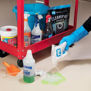 PIG® Everyday Use Cleanup Kit