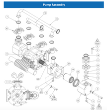 Load image into Gallery viewer, Binks - 192551 HEXAGON PLUG - 1/4&#39;BSPP