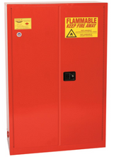 Load image into Gallery viewer, 60 Gal Paint &amp; Ink Safety Cabinet, 5 Shelf, PI47X