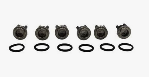 Annovi Reverberi AR1828 Valve Kit