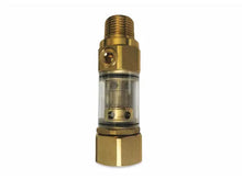 Load image into Gallery viewer, Brass Garden Hose Inlet Filter with Clear View, 3/4" FGH x 1/2" MNPT