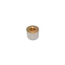 Load image into Gallery viewer, 3/8" Brass Unloader Port Plug for Blocking Unused Unloader Ports