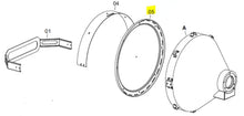 Load image into Gallery viewer, Irradiation Front Disc Replacement Part for Fire 155 Heater