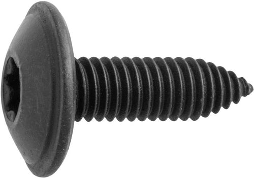 M6 X 20 TORX WSHR HD BODY BOLT CA PT