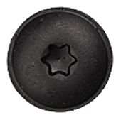 (25) BLACK TORX TRUSS HEAD SCREW