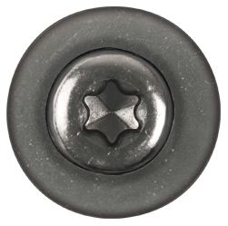 (15) BLACK TORX PAN HEAD SCREW