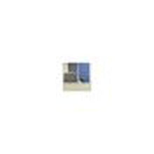 Load image into Gallery viewer, Pig® MAT32100 Medium Weight Absorbent Mat Roll, 100 ft L x 32 in W, Up to 10.5 gal Absorption Capacity