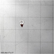 Load image into Gallery viewer, POINTER