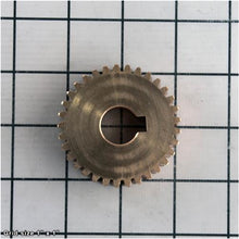Load image into Gallery viewer, WORM GEAR