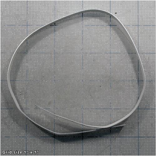 RULER