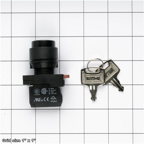 POWER SWITCH W/KEY TAI CHENG
