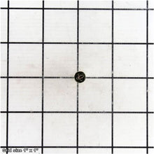 Load image into Gallery viewer, HINGE SCREW