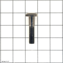 Load image into Gallery viewer, T-BOLT M8-1.25 X 55