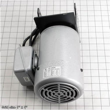 Load image into Gallery viewer, FLUSH TRIMMER MOTOR ASSEMBLY