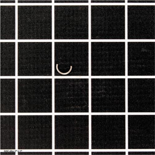 FLAT SPRING
