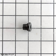 Load image into Gallery viewer, DRAIN PLUG M12-1