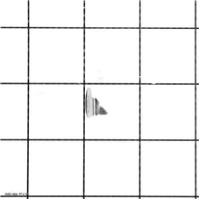 Load image into Gallery viewer, POINTER