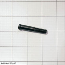 Load image into Gallery viewer, ECCENTRIC BOLT