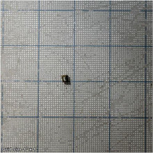 Load image into Gallery viewer, LOCK PIN