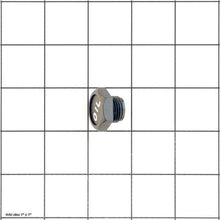 Load image into Gallery viewer, OIL PLUG V2.06.02