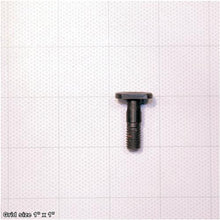 Load image into Gallery viewer, FINGER T-BOLT