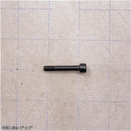 BLADE HOUSING CAP SCREW