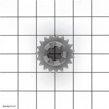Load image into Gallery viewer, GEAR 19/20T