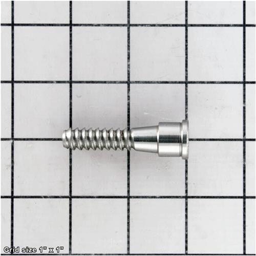 WOODWORM SCREW